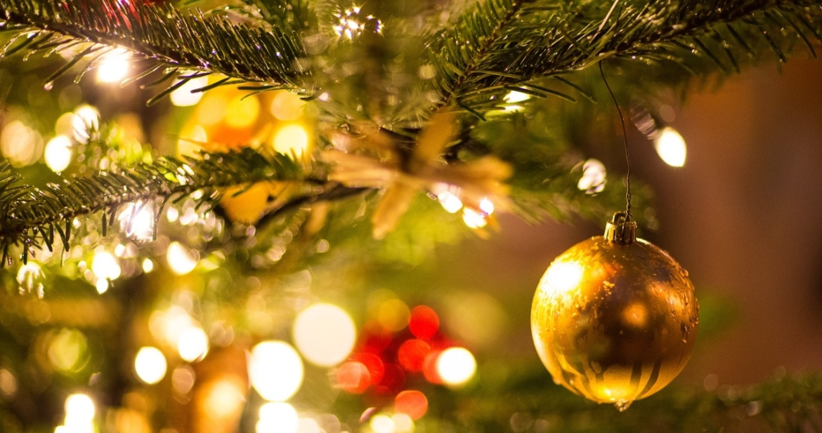 Für die Weihnachtsbaumsaison 2025 steigen die Preise leicht. Die Nordmanntanne kostet über 24 €, Blaufichte und Fichte bleiben günstiger.