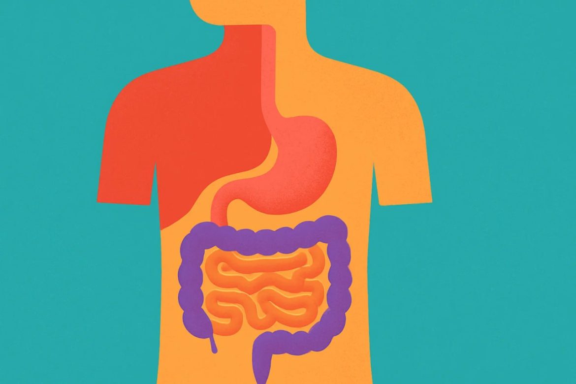 Was tun bei Blähbauch? Experten-Tipps zu Soforthilfe, Ernährungsumstellung (FODMAPs) und natürlichen Hausmitteln (Kümmel, Fenchel). Erfahren Sie, wann Sie zum Arzt müssen.