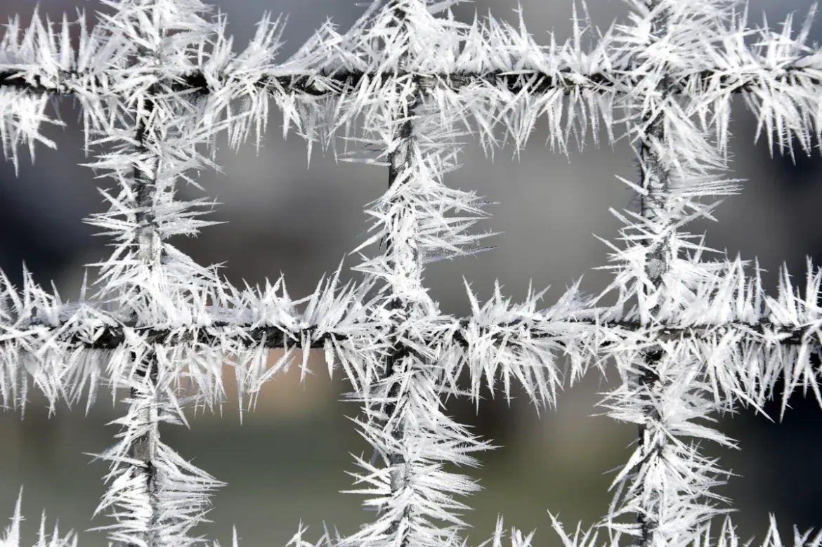Weihnachten bleibt weitgehend schneefrei, doch zum Jahreswechsel könnte ein markanter Wintereinbruch Deutschland erreichen, warnt der DWD.