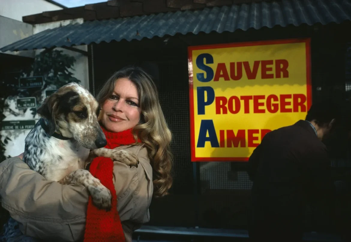 Die französische Schauspielerin und Sängerin Brigitte Bardot starb mit 91 Jahren, sie war auch Gründerin der Stiftung Brigitte Bardot.