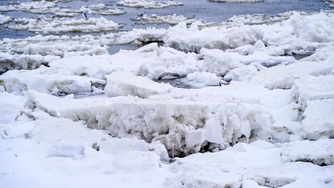Eis-Chaos auf der Elbe bei Geesthacht: Zehn-Meter-Eisbarrieren blockieren Schifffahrt, sechs Eisbrecher im Dauereinsatz gegen Grund- und Oberflächeneis.