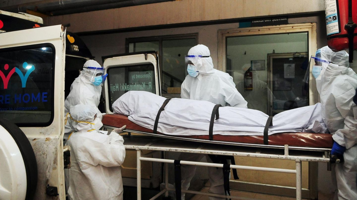 In Indien breitet sich das tödliche Nipah-Virus aus: Zwei Krankenschwestern infiziert, 196 Kontaktpersonen negativ getestet, internationale Vorsichtsmaßnahmen laufen.