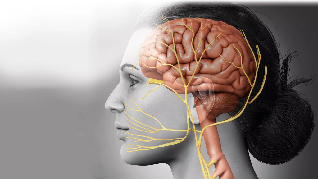 Kopfschmerzen zu Hause lindern: natürliche Methoden und Tipps für eine sichere Anwendung