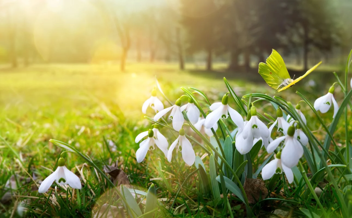Kalender der Feiertage im März 2026 für Deutschland. Erfahren Sie alles über Ostern, den 8. März in Berlin und wie Sie Ihre freien Tage optimal mit Urlaub kombinieren.