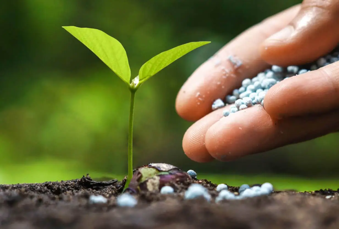 Mondkalender Aussaat März 2026 Deutschland: Finden Sie die idealen Tage zum Säen und Pflanzen. Ein Ratgeber für Gemüse, Blumen und Bodenpflege nach den Mondphasen.