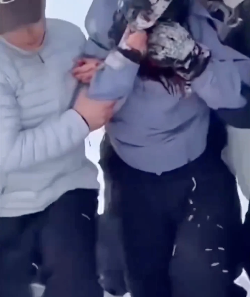 Schneeleopard greift Skifahrerin in Xinjiang an – Selfie-Moment führt zu blutiger Verletzung