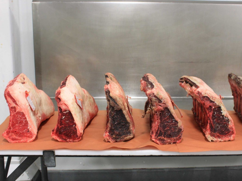 Abgelaufenes Fleisch erkennen: Tipps zur Haltbarkeit und Sicherheit beim Verzehr im Test