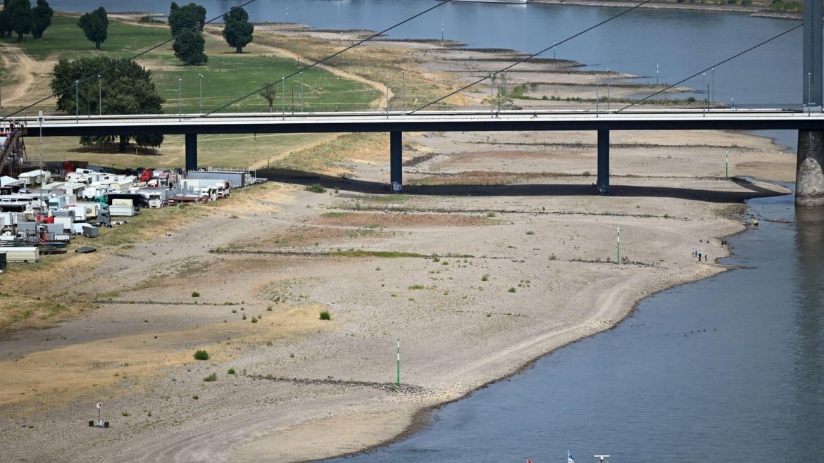 Niedrigwasser auf Rhein und Donau begrenzt die Schifffahrt. Der Pegel Kaub fällt auf 29 Zentimeter, Reedereien reduzieren Fracht und Fahrten.